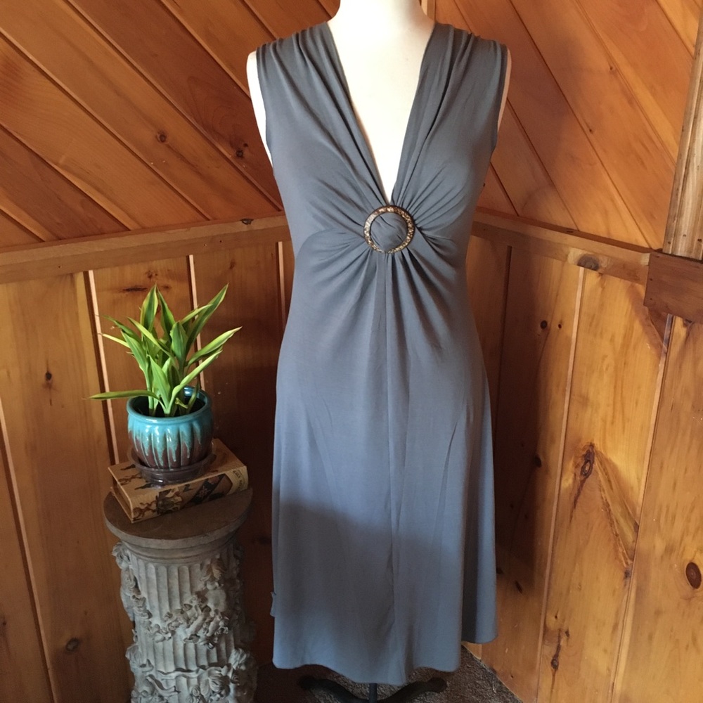 NWT BCBG Long Dress